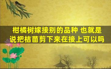 柑橘树嫁接别的品种 也就是说把桔苗剪下来在接上可以吗